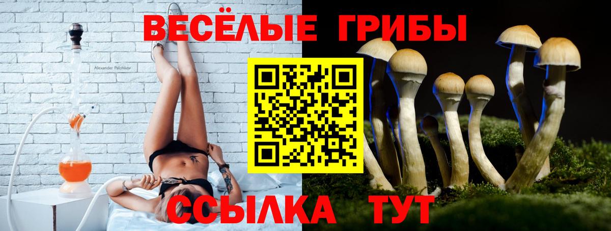 Галлюциногенные грибы Psilocybe  Вход с VPN  Псилоцибиновые грибы мицелий  Балтийск 