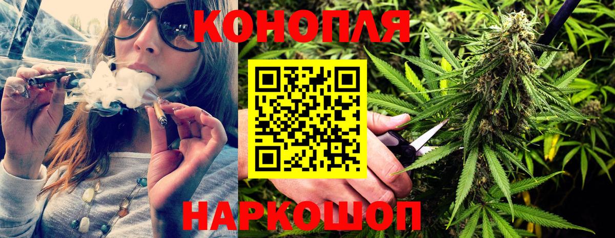 Каннабис гибрид Балтийск